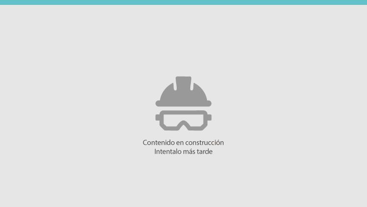 conrtenido construccion EBCI